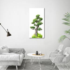Fotografie imprimată pe sticlă copac bonsai