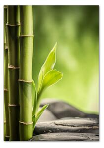 Tablou pe pe sticlă Bambus
