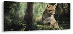 Tablou cu vulpe (120x50 cm)