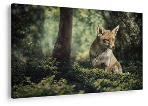 Tablou cu vulpe (90x60 cm)