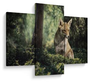 Tablou cu vulpe (90x60 cm)