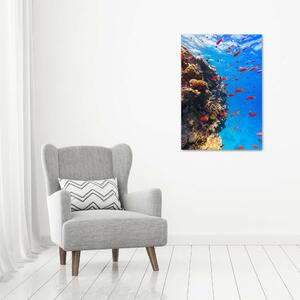 Imprimare tablou canvas recif de corali
