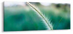 Tablou cu fir de iarbă (120x50 cm)