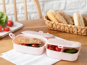 Trendy Lunch Box din Plastic cu 3 Compartimente 155x215 Cm Pudră