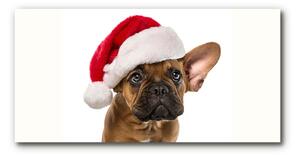 Tablou pe sticla Bulldog Christmas Dog
