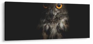 Tablou cu bufnița (120x50 cm)