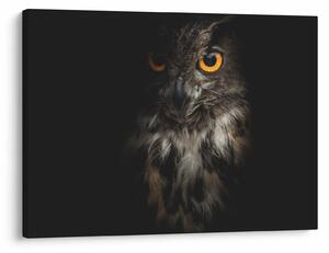 Tablou cu bufnița (70x50 cm)