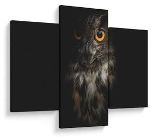 Tablou cu bufnița (90x60 cm)