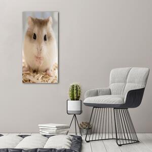 Imprimare tablou canvas Hamster