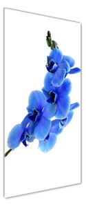 Fotografie imprimată pe sticlă albastru orhidee