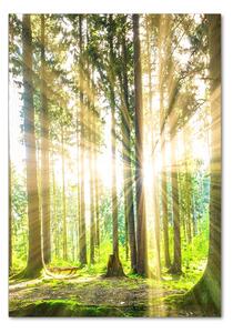 Tablou sticlă Soare în pădure