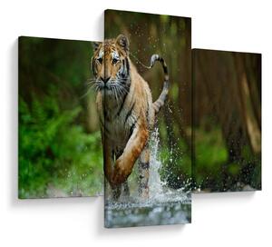 Tablou cu trigrul fugind (90x60 cm)