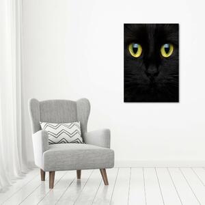 Print pe canvas ochi de pisica