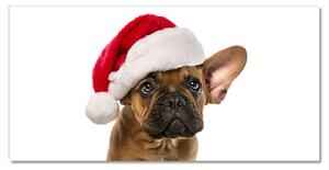 Tablou pe sticla acrilica Bulldog Christmas Dog