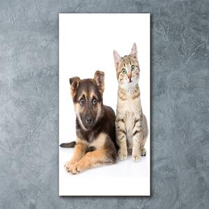 Tablou pe sticlă acrilică Câine și pisică