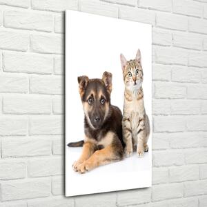 Imagine de sticlă Câine și pisică
