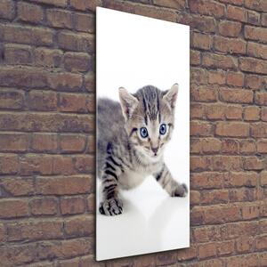 Pictura pe sticlă acrilică Pisica mica