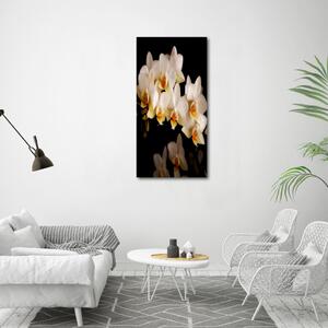Print pe canvas Orhidee