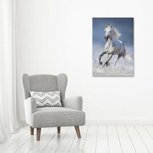 Tablou canvas cal alb în galop