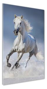 Tablou sticlă acrilică cal alb în galop