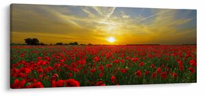 Tablou cu câmp cu maci (120x50 cm)
