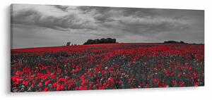 Tablou cu maci (120x50 cm)