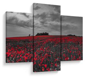 Tablou cu maci (90x60 cm)