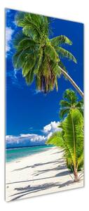 Tablou pe acril plaja tropicala