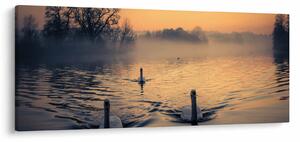 Tablou cu lebăde pe apă în ceață (120x50 cm)