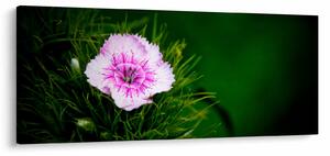 Tablou cu floare roz (120x50 cm)