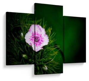 Tablou cu floare roz (90x60 cm)
