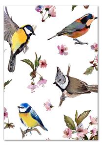 Tablou pe acril Păsări și flori