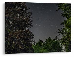 Tablou cu cerul nocturn (70x50 cm)