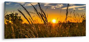 Tablou cu câmp în apus de soare (120x50 cm)