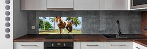 Panou sticlă decorativa bucătărie cal pinto