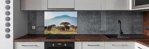 Sticlă pentru bucătărie elefanți Kilimanjaro