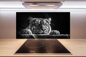 Panou sticlă decorativa bucătărie Tigru