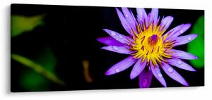 Tablou cu floare (120x50 cm)