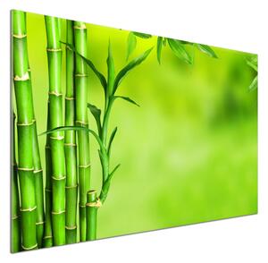 Panou perete bucătărie Bambus
