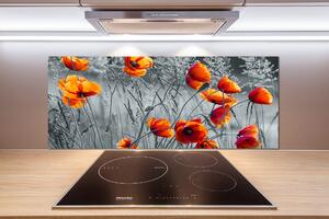 Panou sticlă decorativa bucătărie wildflowers maci