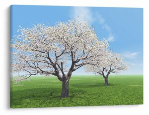 Tablou cu copaci (70x50 cm)