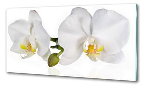 Panou sticla securizata bucatarie Orhidee