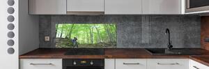 Panou sticlă decorativa bucătărie Ornitolog în pădure