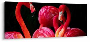 Tablou cu flamengo roșii (120x50 cm)