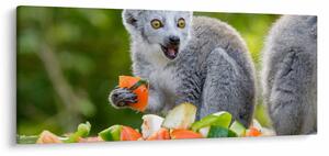 Tablou cu lemur (120x50 cm)