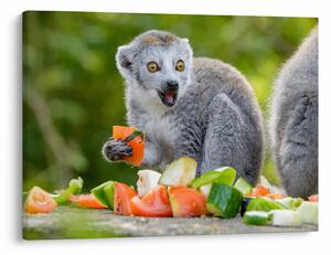 Tablou cu lemur (70x50 cm)