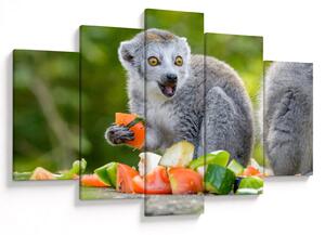 Tablou cu lemur (150x105 cm)