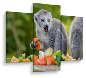 Tablou cu lemur (90x60 cm)