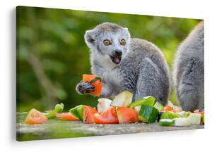 Tablou cu lemur (90x60 cm)