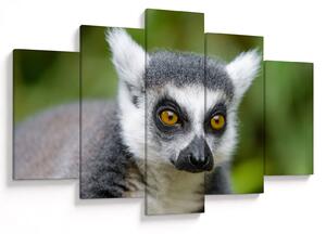 Tablou cu lemur (150x105 cm)